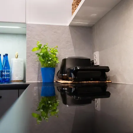 아파트 Nadmorski Loft 116 Plaza Ogrod *