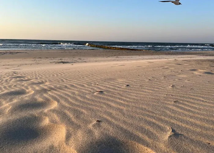 Appartement Nadmorski Loft 116 Plaza, Ogrod, Dostep Do Basenu, Sauny, Jacuzzi W Cenie Pobytu